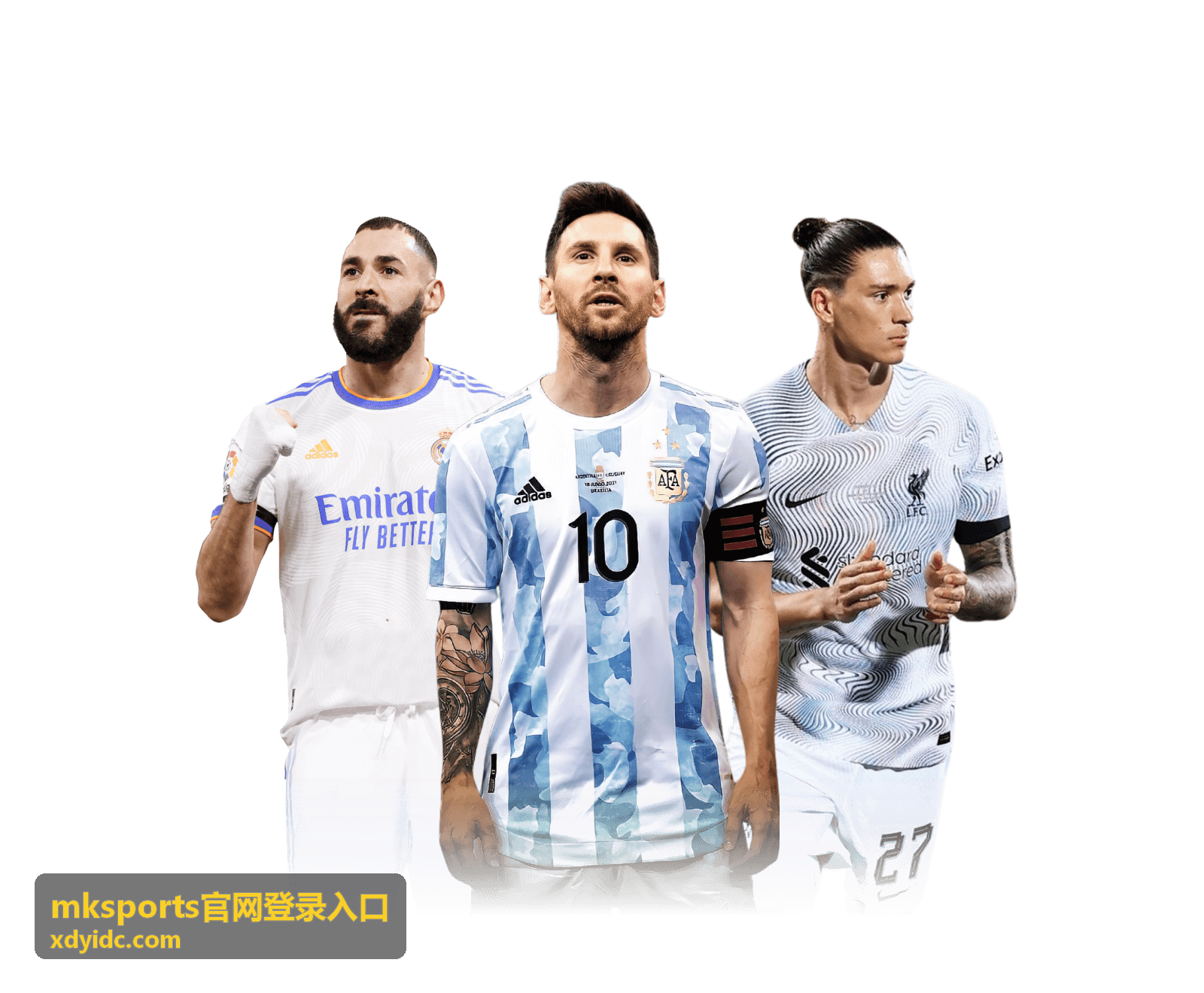 mksports官网登录入口官方入口导航示意图